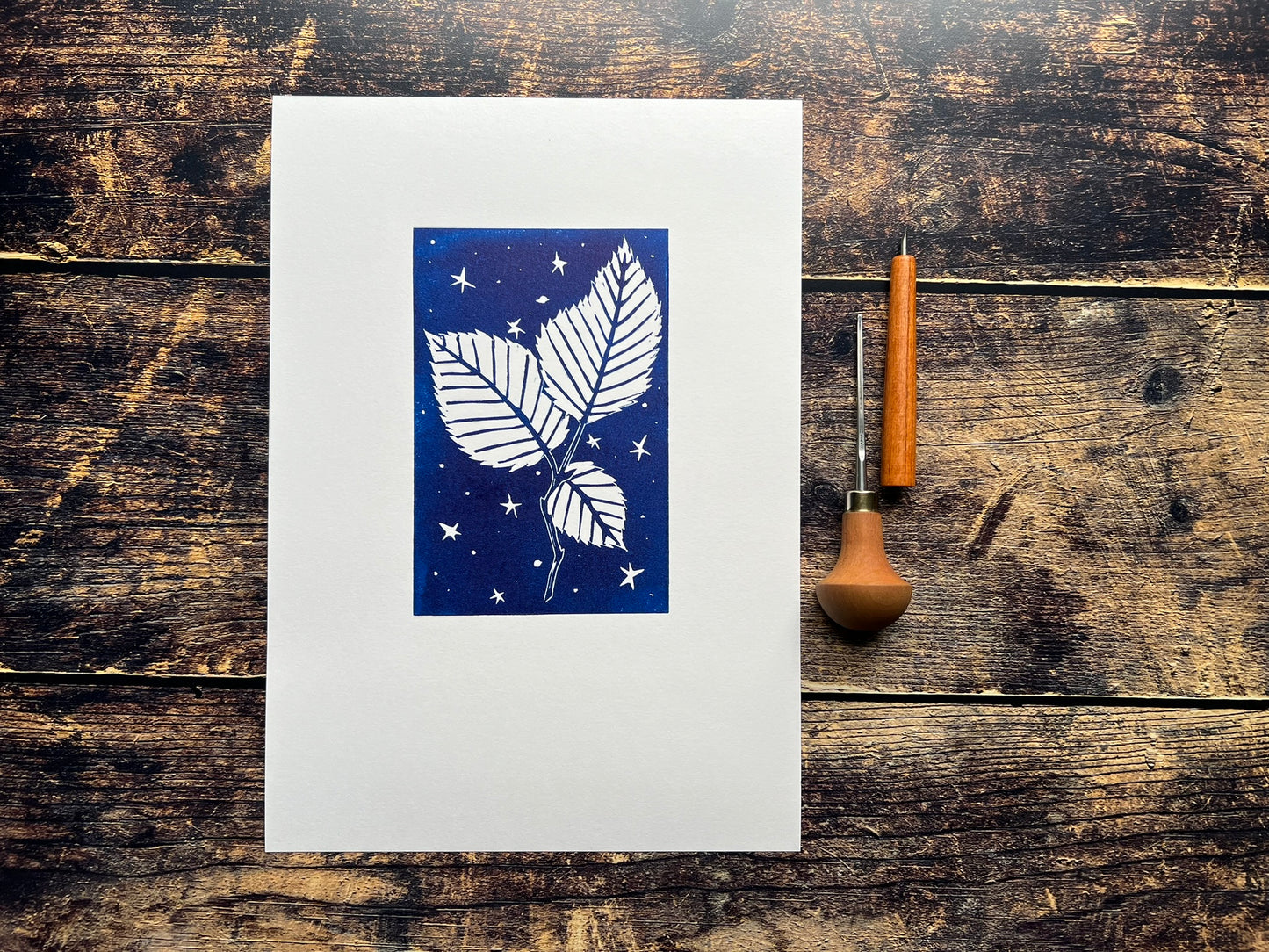 A photo of an A4 lino print of beech leaves surrounded by stars printed in phthalo blue (dark blue)