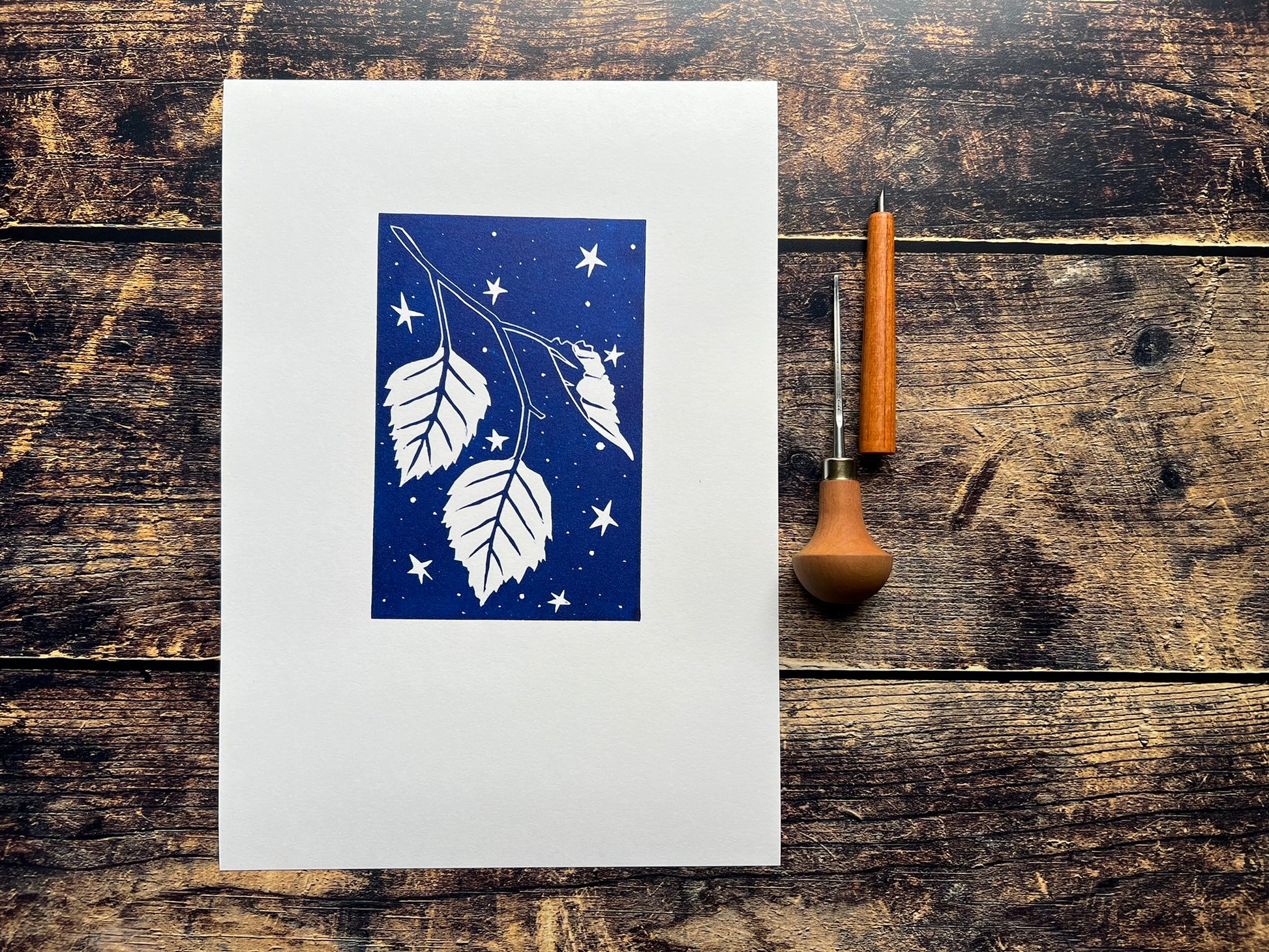 A photo of an A4 lino print of birch leaves surrounded by stars printed in phthalo blue (dark blue)