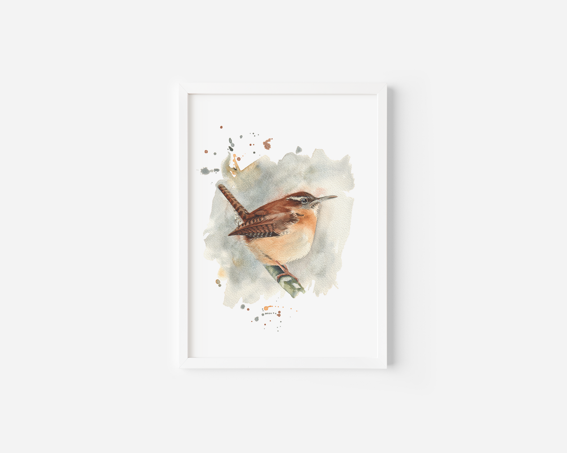 A watercolour print of a carolina wren, painted in watercolours in an expressive way