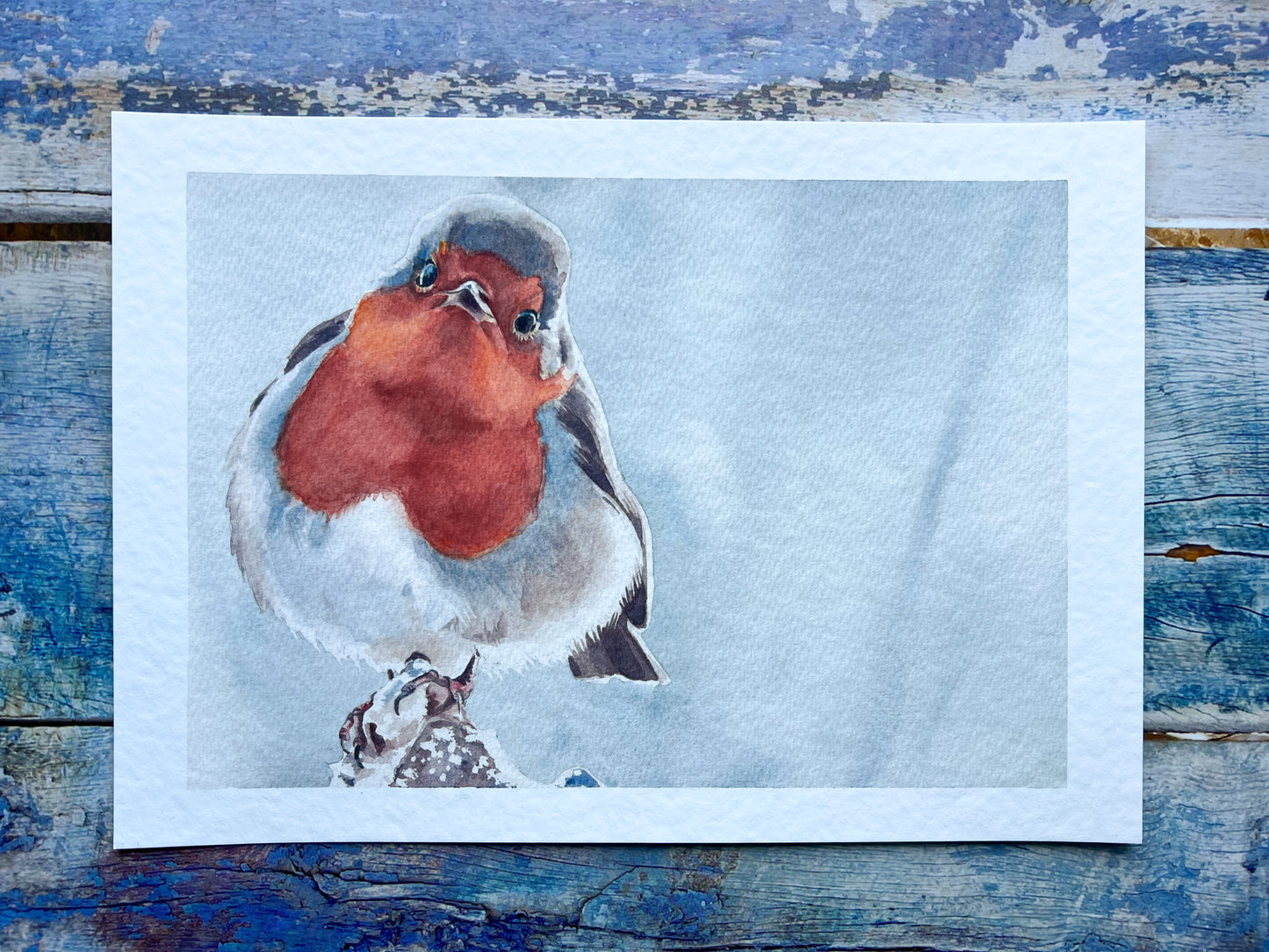 Robin in the snow A4 art print