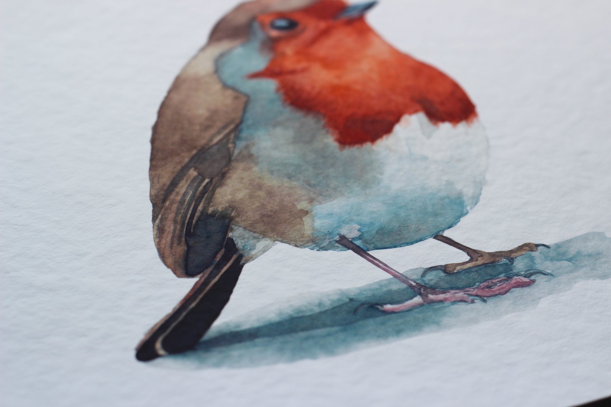 A close up of the A4 watercolour print of a robin