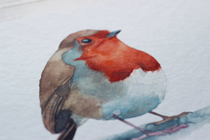 Another close up of the robin watercolour print