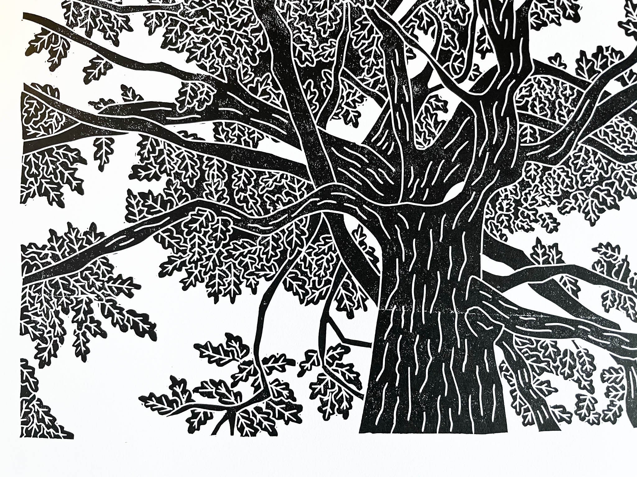 Oak tree lino print *as seen on TV* – GeorginaDoodles