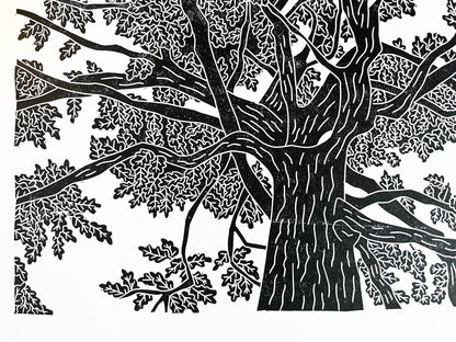 A close up of A lino print of an oak tree as viewed from standing under it and looking up