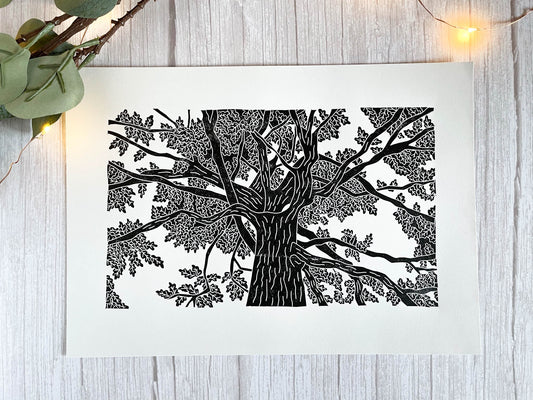 A lino print of an oak tree as viewed from standing under it and looking up in black