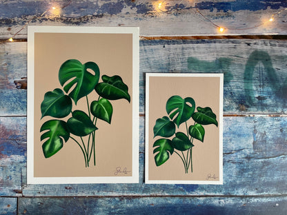 A photo of an A4 and A5 giclee print of a digitally illustrated monstera