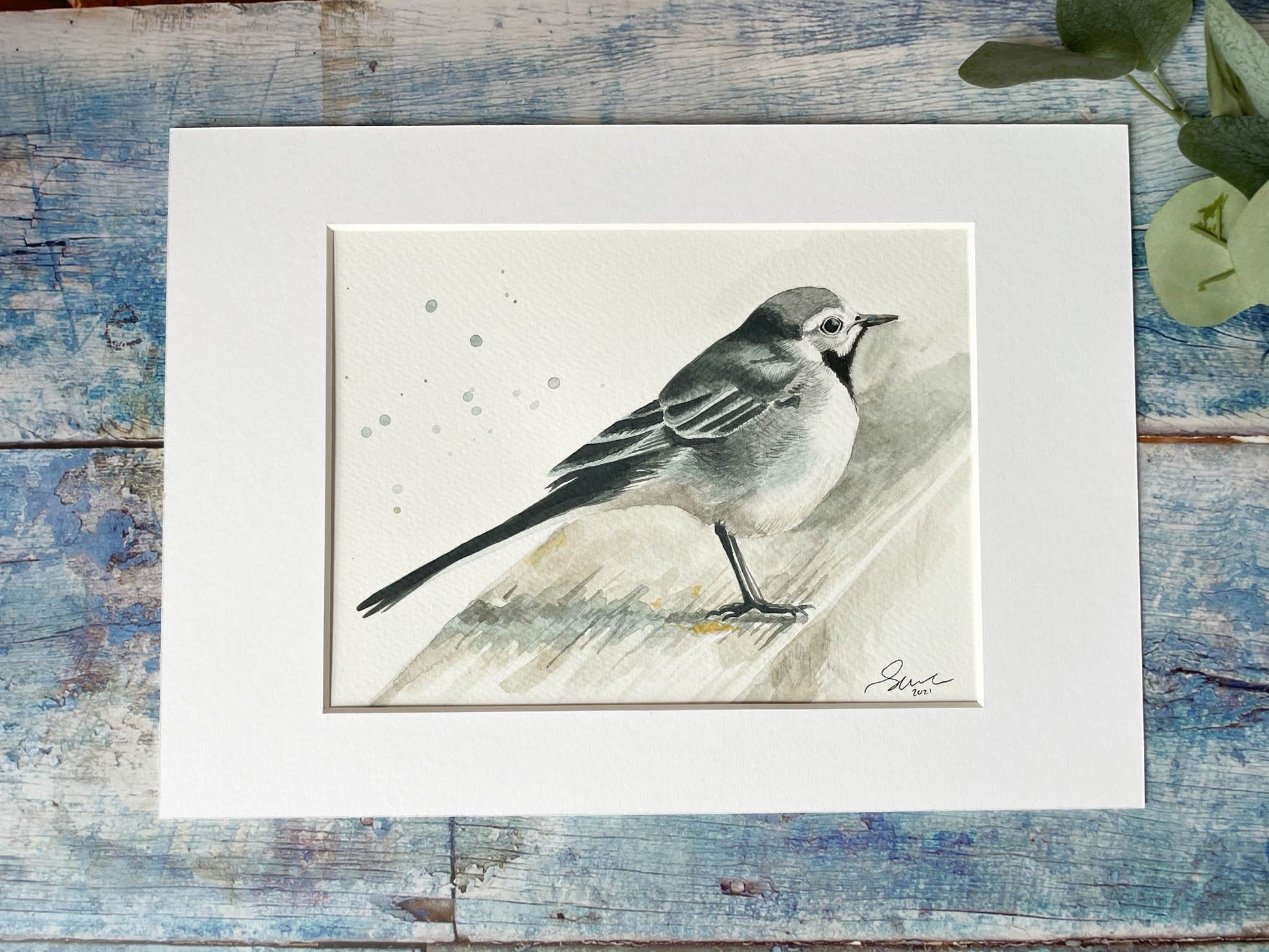 A mounted watercolour painting of a pied wagtail