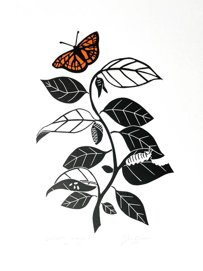 A lino print depicting the stages of a caterpillar turning into a butterfly while going up a vine