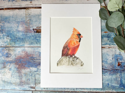 An original mounted watercolour painting of a cardinal bird