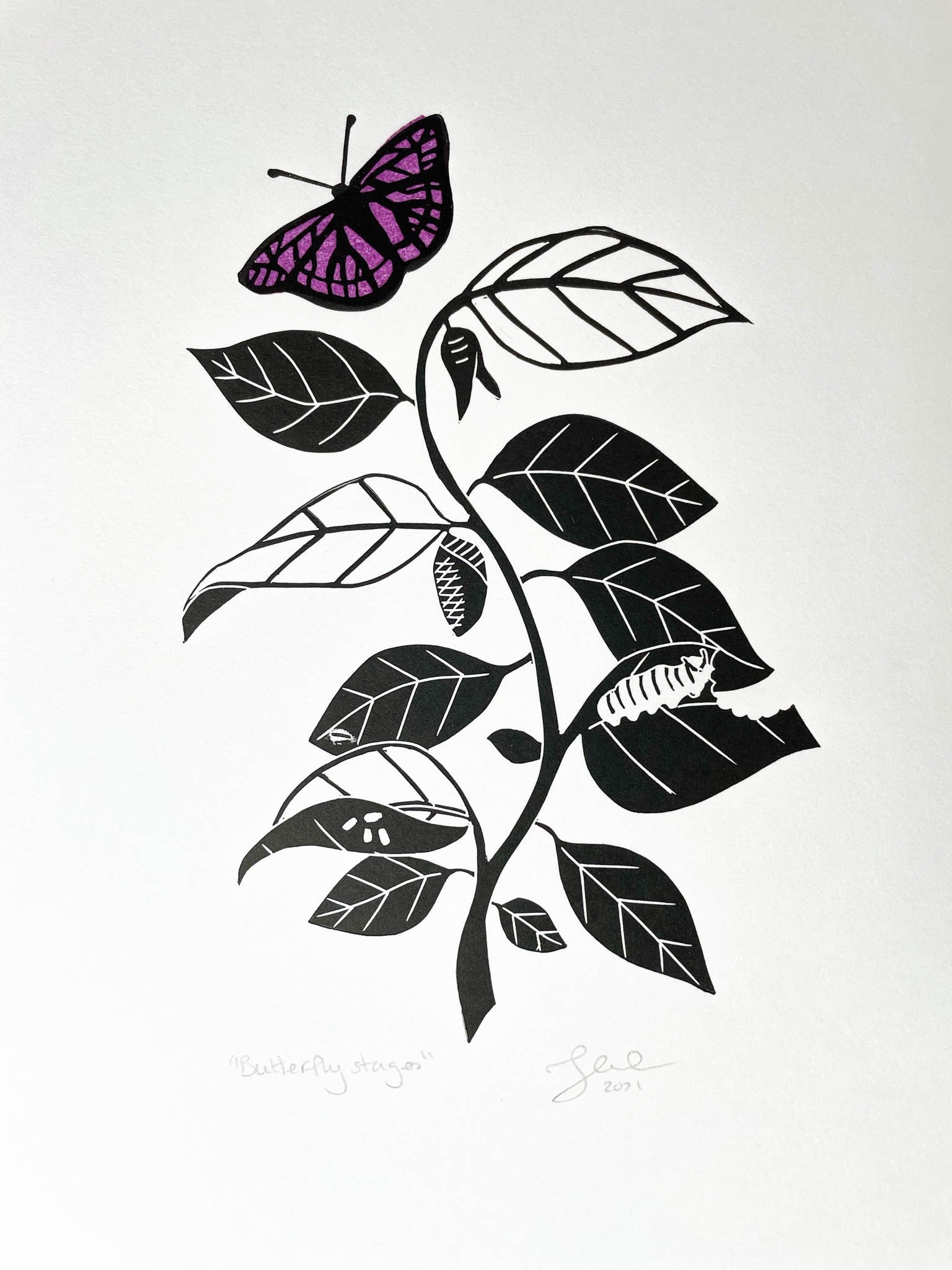 A lino print depicting the stages of a caterpillar turning into a butterfly while going up a vine
