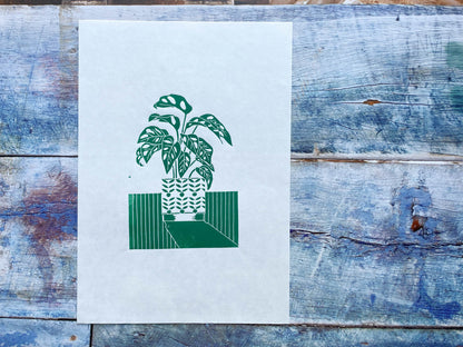 A green lino print of a monstera monkey plant in a patterned plant pot with a long shadow