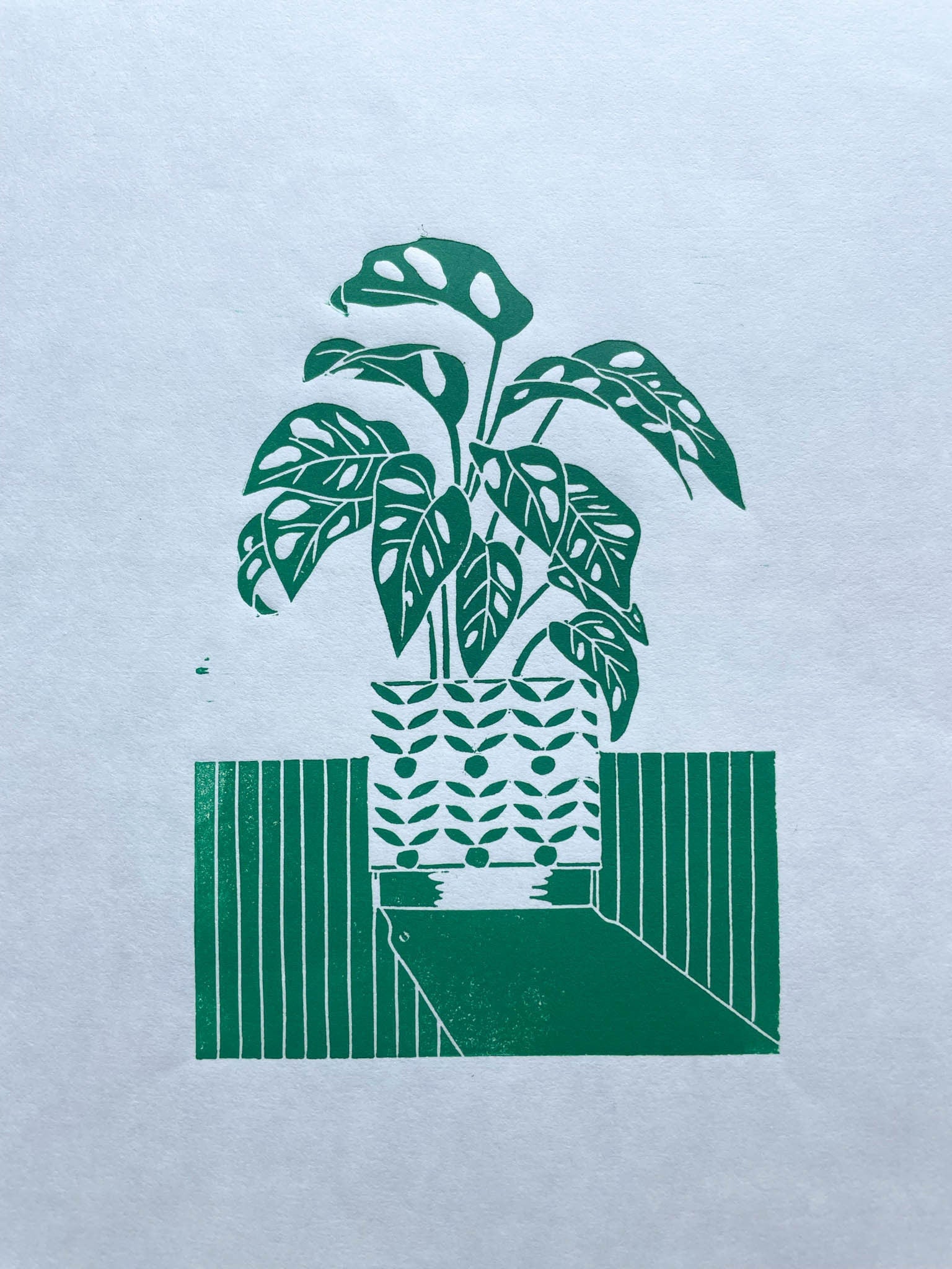 A green lino print of a monstera monkey plant in a patterned plant pot with a long shadow