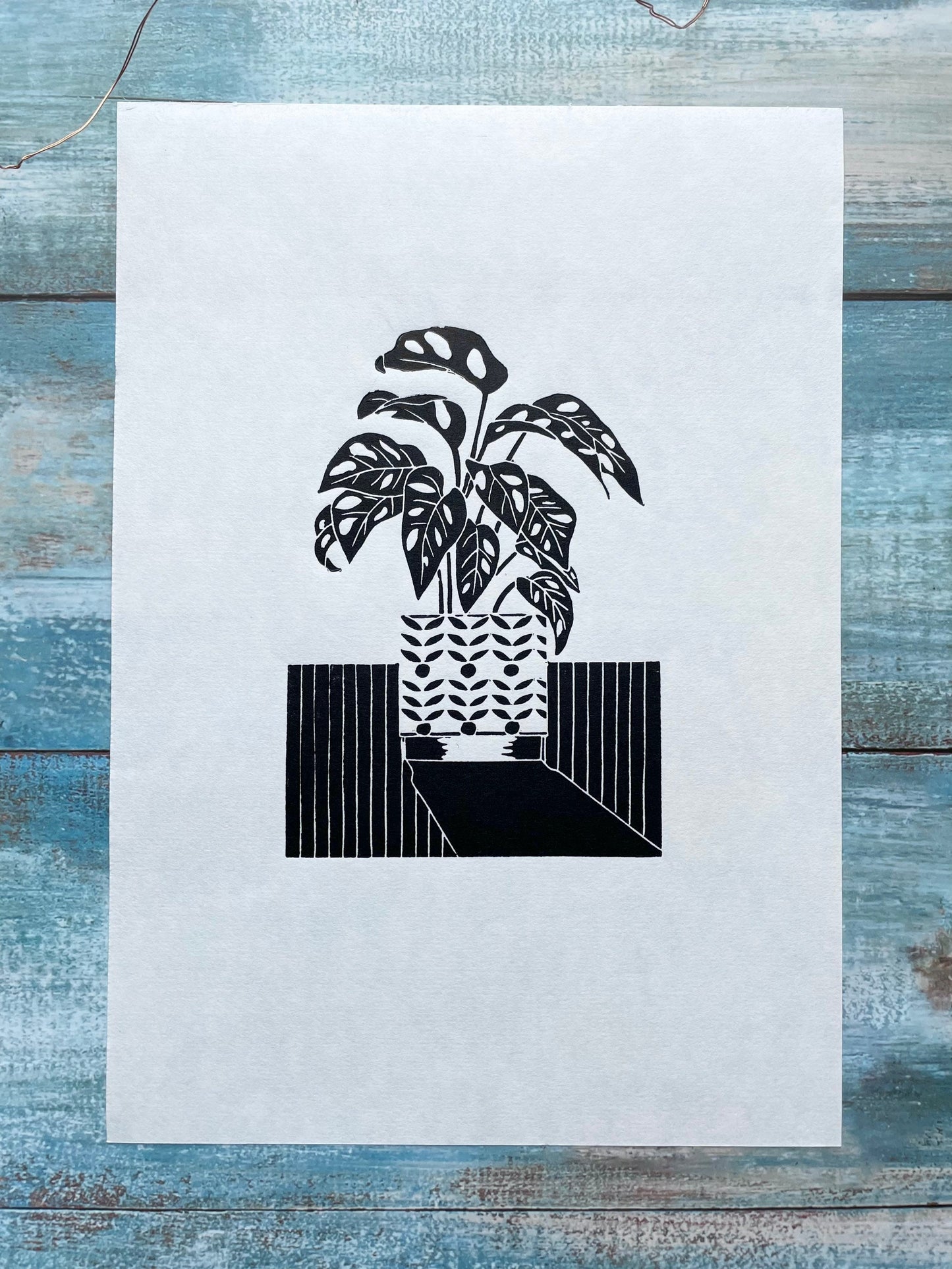 A black lino print of a monstera monkey plant in a patterned plant pot with a long shadow