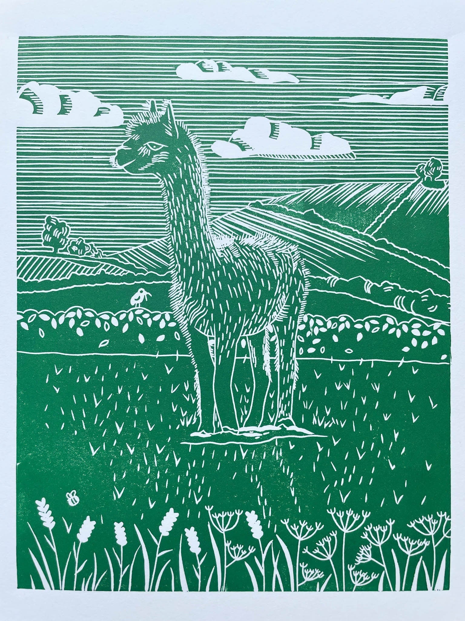 A green A4 lino print of a llama in a field