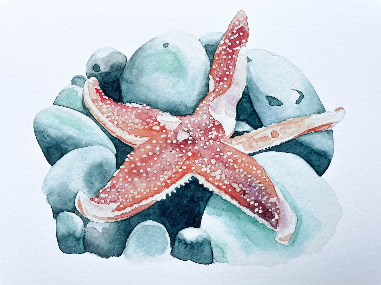 A watercolour print of a starfish on pebbles