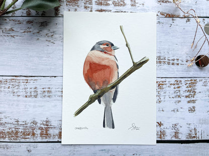 A giclee print of a Chaffinch