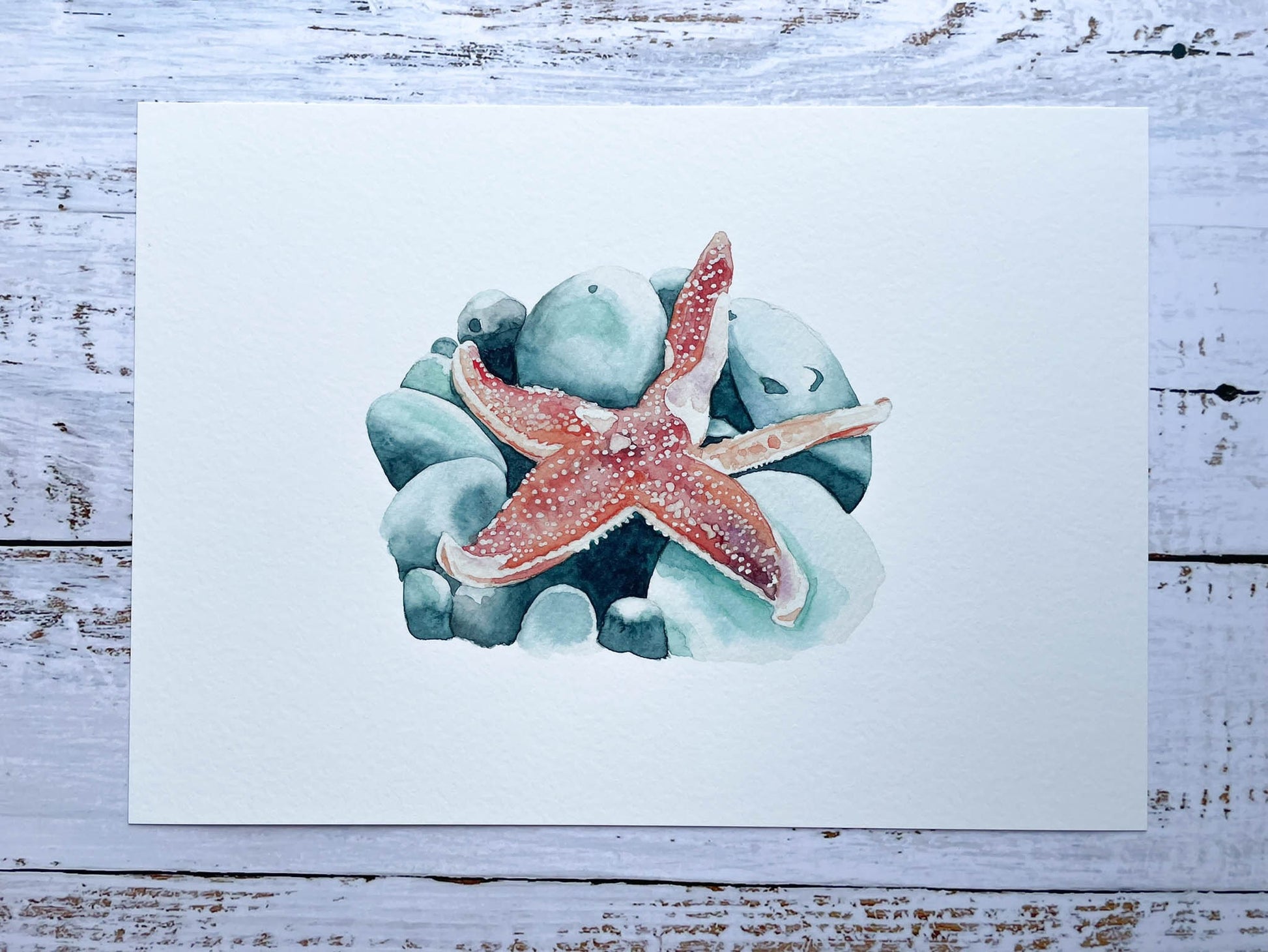A watercolour print of a starfish on pebbles