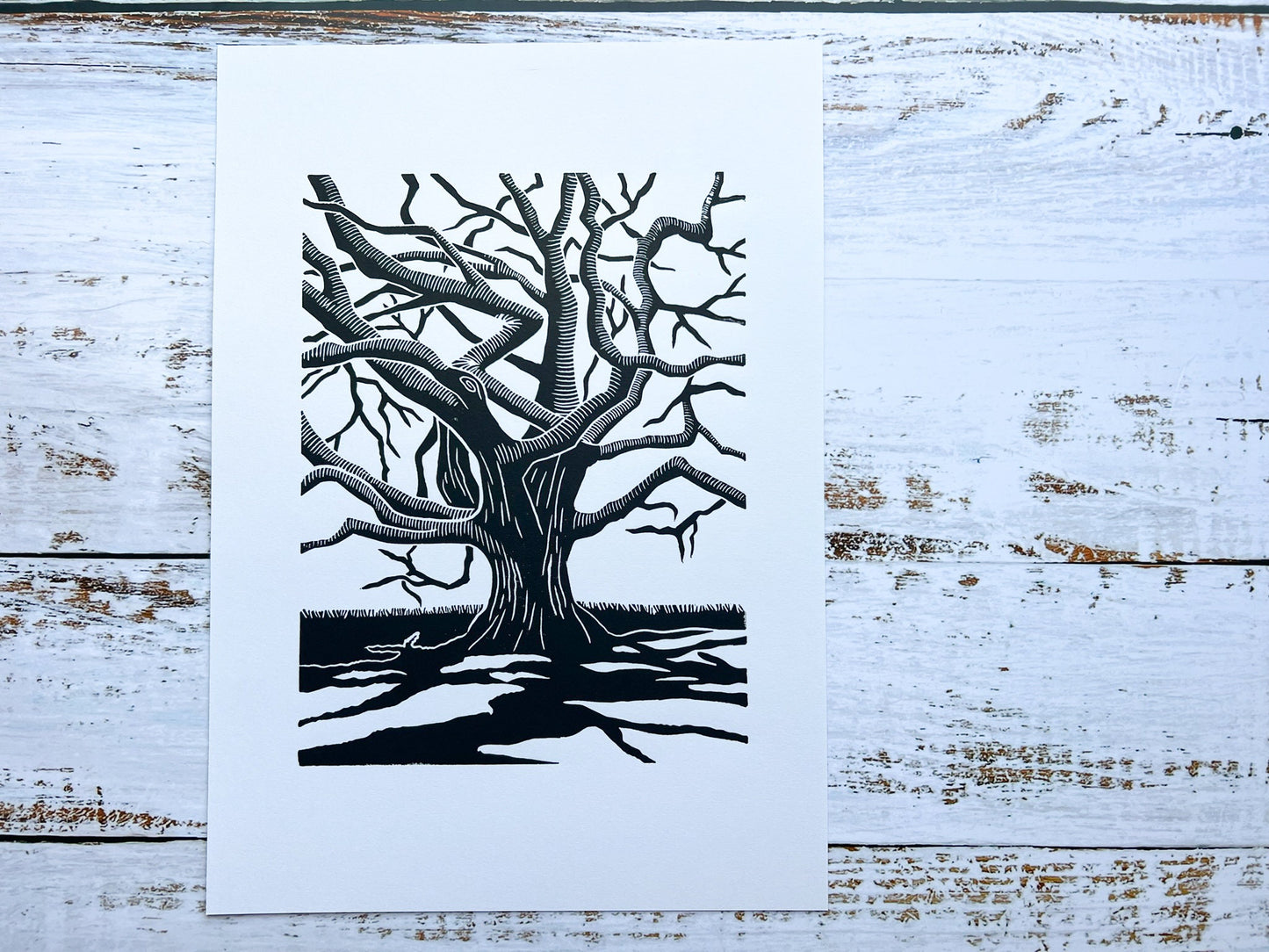 A lino print of a gnarly oak tree with dramatic shadows