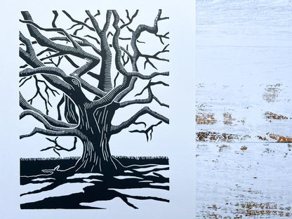 A lino print of a gnarly oak tree with dramatic shadows