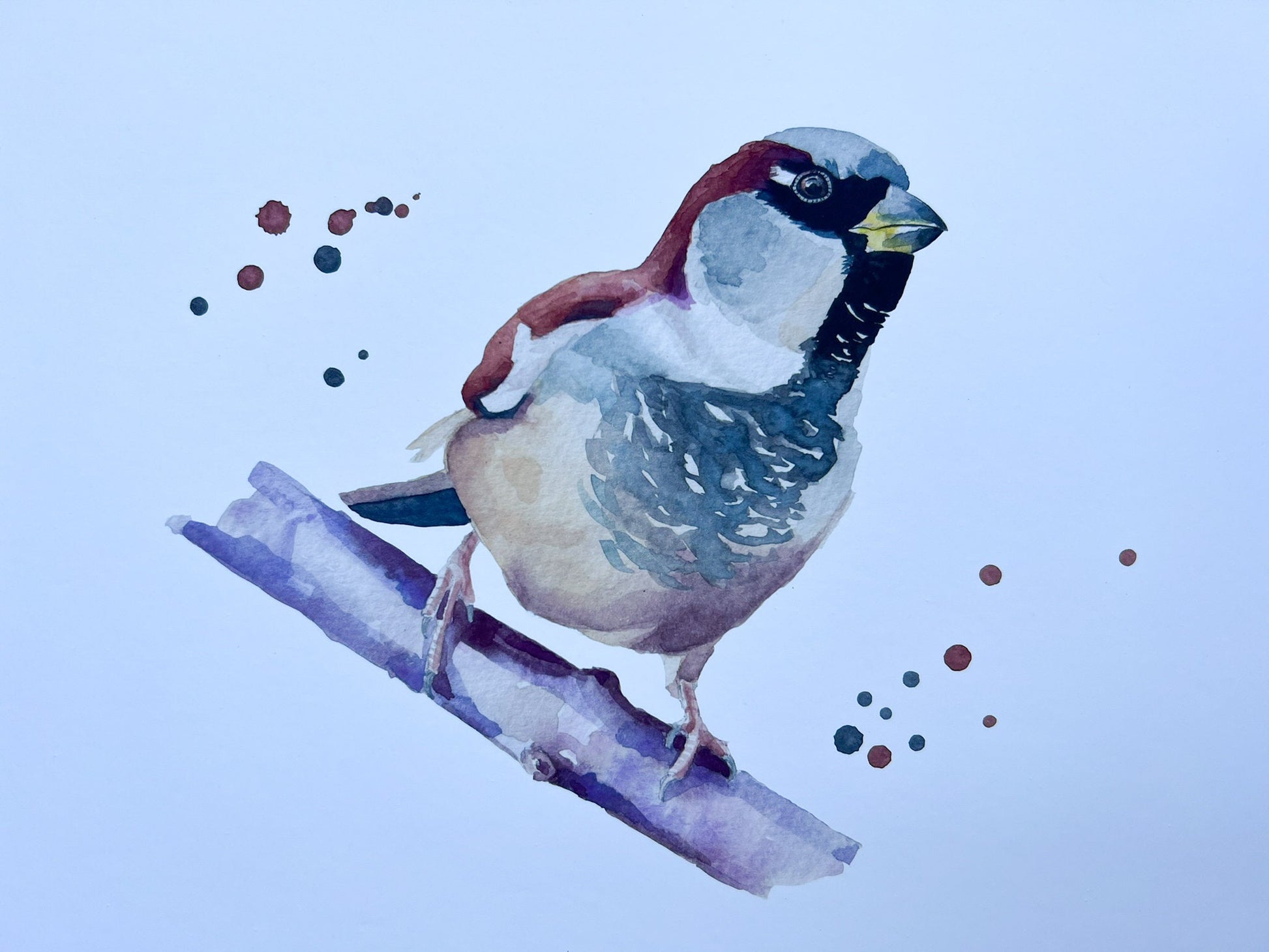 A close up of A watercolour print of a house sparrow on a branch with splashes of watercolour around it
