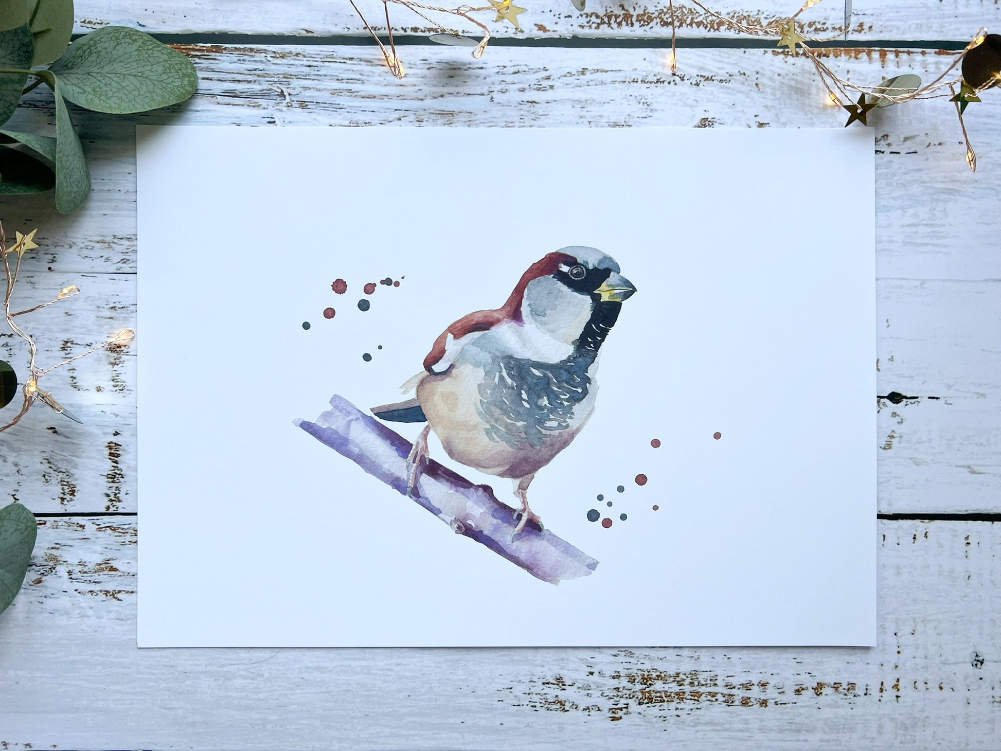 A watercolour print of a house sparrow on a branch with splashes of watercolour around it