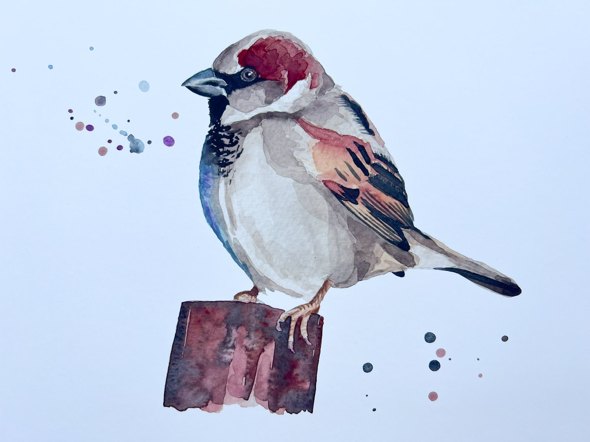 A watercolour print of a house sparrow on a post with splashes of watercolour around it