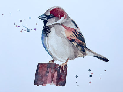 A watercolour print of a house sparrow on a post with splashes of watercolour around it