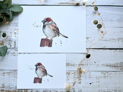 A watercolour print of a house sparrow on a post with splashes of watercolour around it in A4 and A5