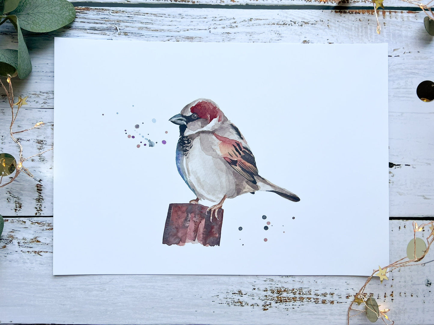 A watercolour print of a house sparrow on a post with splashes of watercolour around it
