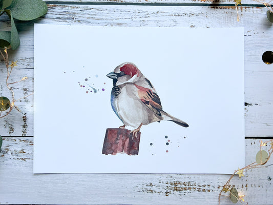 A watercolour print of a house sparrow on a post with splashes of watercolour around it