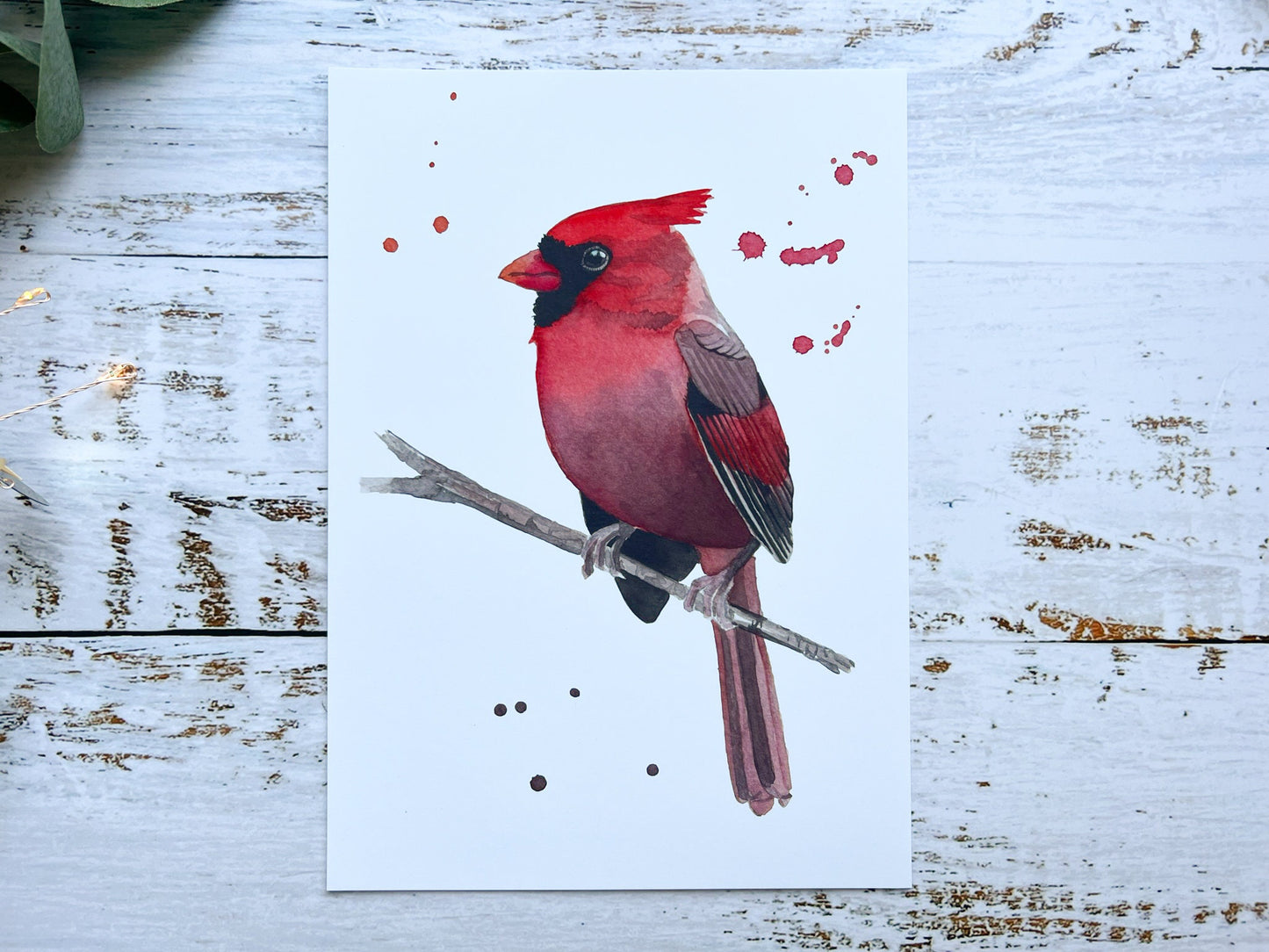 A print of a watercolour painting of a cardinal looking to the side