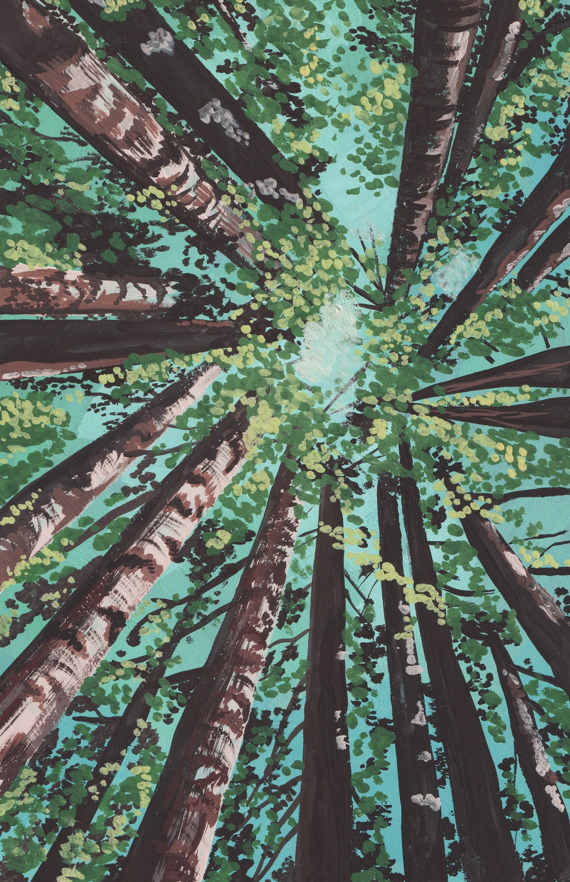 A gouache print of Californian redwood trees from the perspective of standing on the ground and looking up at the sky