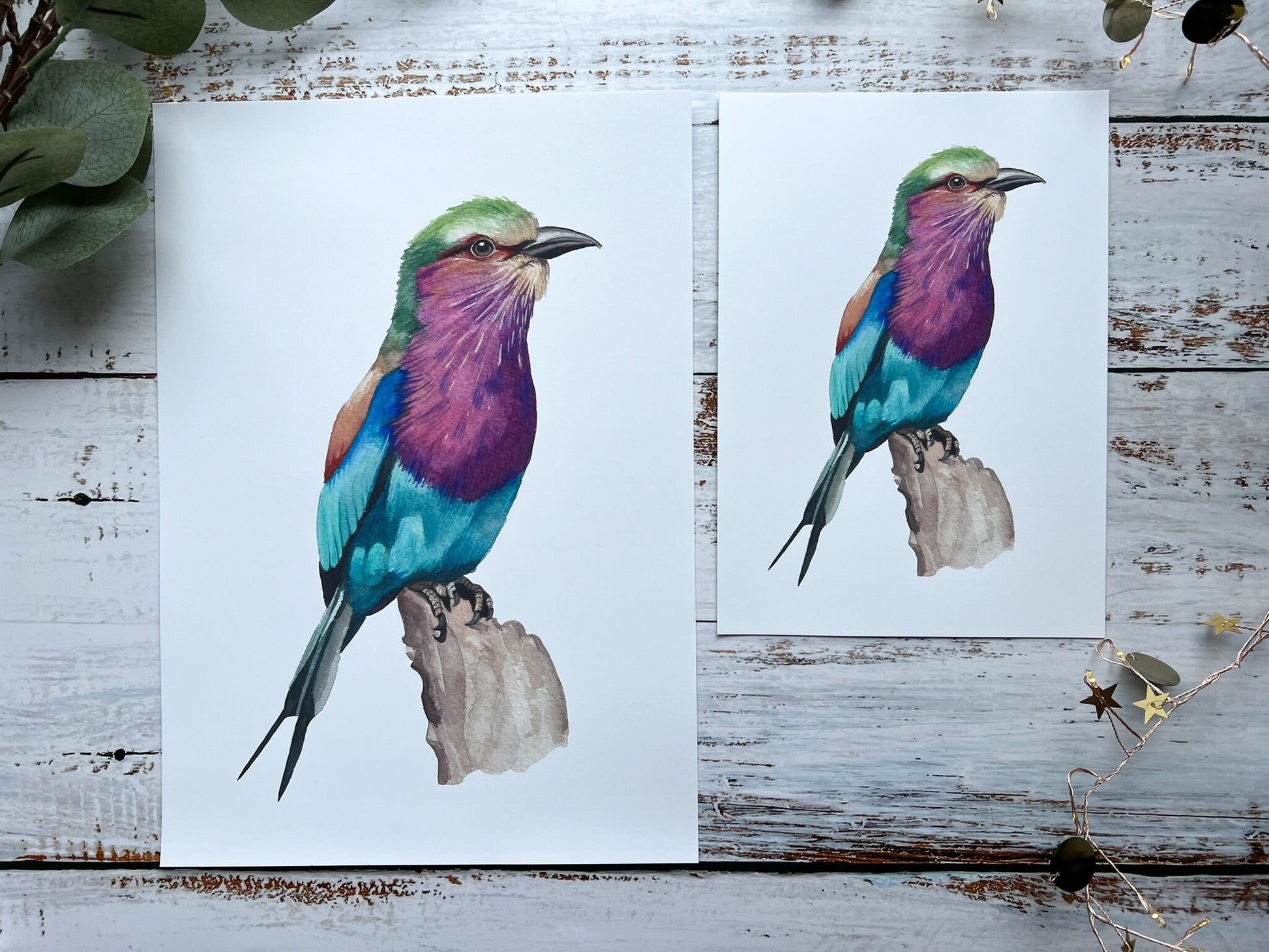 A watercolour print of a lilac breasted roller in A4 and A5
