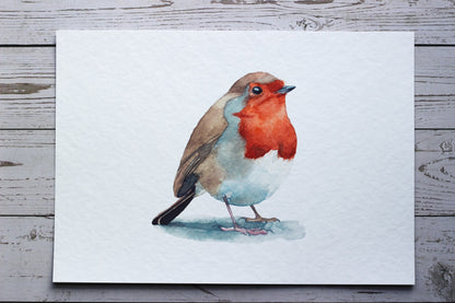 An A4 watercolour print of a robin